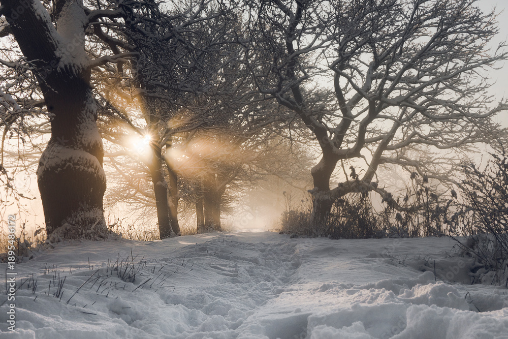 Obraz premium Pod słońce