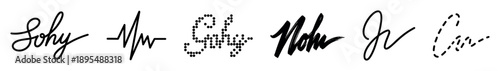 Collection of various handwritten signature styles showcasing different techniques like elegant cursive, bold brushstroke, dotted digital, dashed line, and abstract cardiogram
