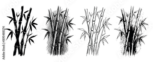 Four black and white bamboo illustrations showcase different hand-drawn artistic styles, including bold brushstrokes, detailed ink hatching, simple line art, and graphic woodcut
