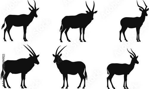 Antelope silhouette set, horn variation vector, wild animal posture, black white graphic, species anatomy icons, nature comparison illustration