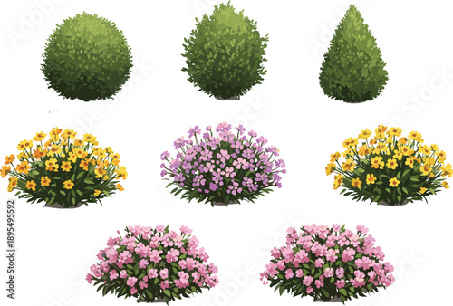 Beautiful garden bushes and colorful blooming flowers, landscaping plants, decorative shrubs, seasonal blossoms, nature elements for outdoor garden design.