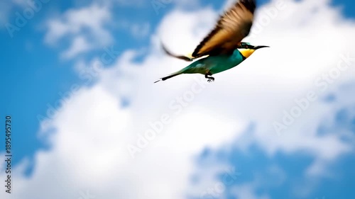 Colorful bird perched on a wire against a blue sky with clouds.