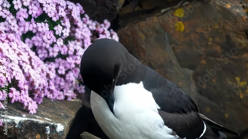 A beautiful bird resting on rocks near purple flowers in nature.