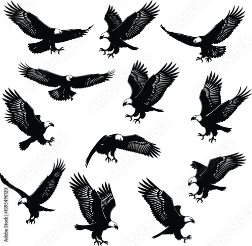 Black eagle silhouette set, flying hunting eagle poses, powerful bird of prey illustrations, isolated wildlife design elements on white