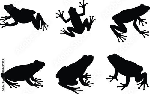 Frog silhouettes, amphibian poses, jumping frog, sitting frog, webbed feet, black vector set, wildlife icons, biology illustration, nature study