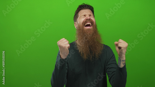 Bild auf Leinwand Man with long beard and tattooed forearm pumps fist to camera with smiling expression in green studio; excitement