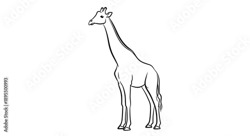 Elegant Giraffe Illustration Standing Tall and Graceful.