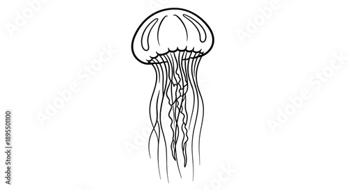 Elegant Jellyfish Illustration with Flowing Tentacles.