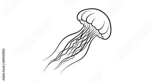 Elegant Jellyfish Illustration with Flowing Tentacles 1.