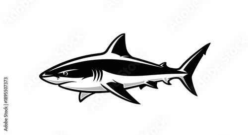 Illustration of a fierce shark in black and white.