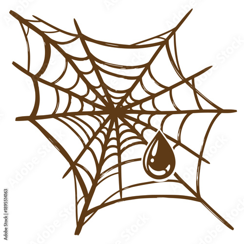 Vintage Grunge texture A brown spider web with a dew drop on it isolated on white background  closeup view