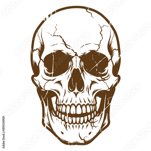Vintage Grunge texture Cracked human skull with teeth and empty eye sockets in sepia tone on white background