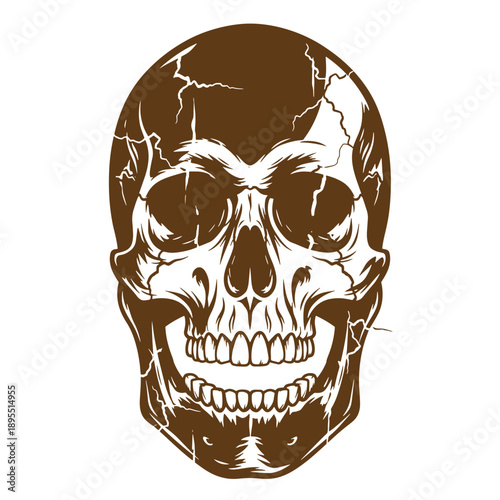 Vintage Grunge texture cracked skull head with white cracks and broken lines on face and forehead in brown color  isolated on white background