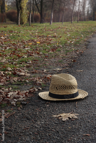 Vászonkép Straw hat resting on a path surrounded by fallen autumn leaves in a park