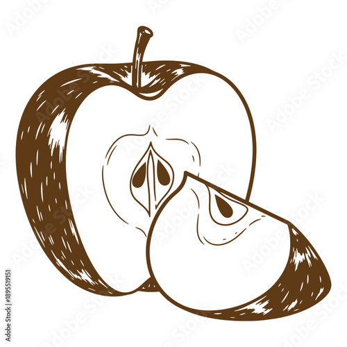 Vintage Grunge texture a drawing of a halved apple with one slice cut out on white