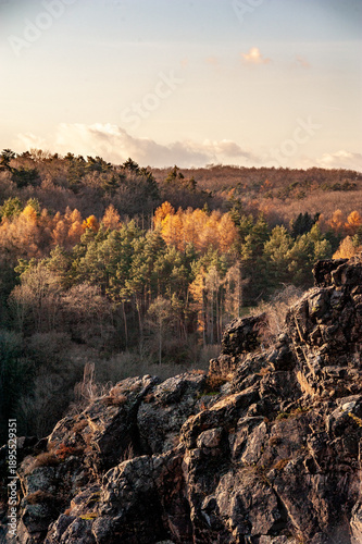 Hilly autumn landscape with dense forest and rocky foreground