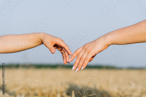 Two Hands Reaching for Each Other in Wheat Field