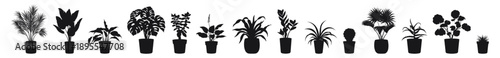 Set of graphic silhouettes of houseplants in cartoon style. Vector: strelitzia, monstera, crassula, drimiopsis, zamioculcas, yucca, chlorophytum, cactus, liviston palm, aloe, geranium, haworthia.