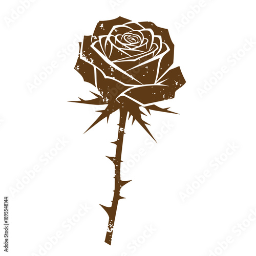 Vintage Grunge texture simple brown rose flower with thorns on stem on white background