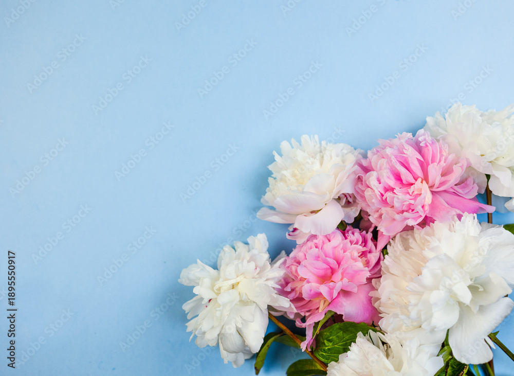 Obraz premium beauty product backdrop with flowers, floral arrangement with soft lighting perfect for branding visuals, elegant pink and white peonies on blue background suitable for social media designs