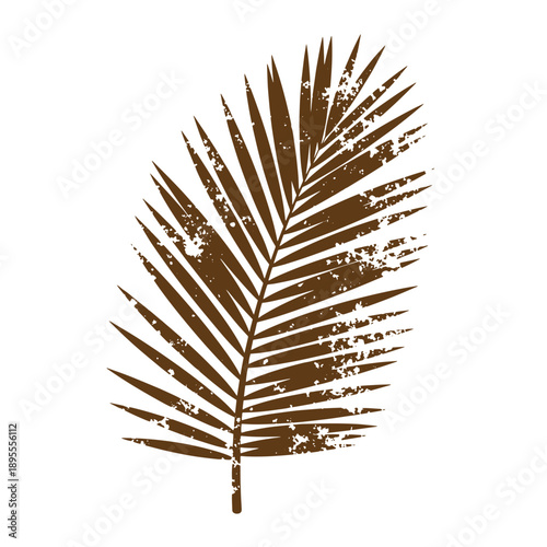 Vintage Grunge texture Grungy palm leaf illustration in sepia tone on white background for decoration and design