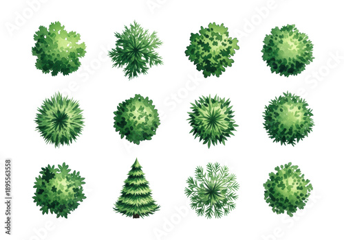twelve hyperdetailed, top-down watercolor illustrations of diverse green trees and shrubs (plan view symbols), showing paper texture and brushstrokes on transparent, design asset collection concept