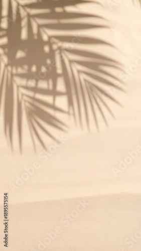 Soft sunlit wall with shadow patterns from tropical palm leaves creating an abstract design
