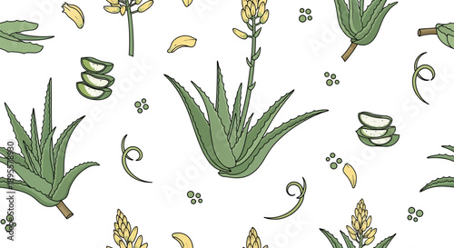 Seamless Aloe Vera Pattern with Green Leaves and Flower Inflorescences for Botanical Design
