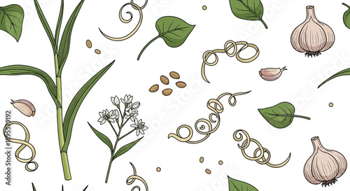 Botanical Illustration Featuring Garlic, Mint, and Various Aromatic Herbs in a Flat Style for Culinary and Medicinal Use