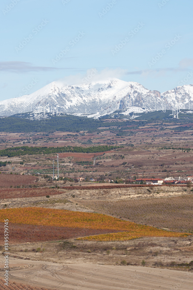 Naklejka premium Snowy Mountains Behind Autumn Fields and Vineyards