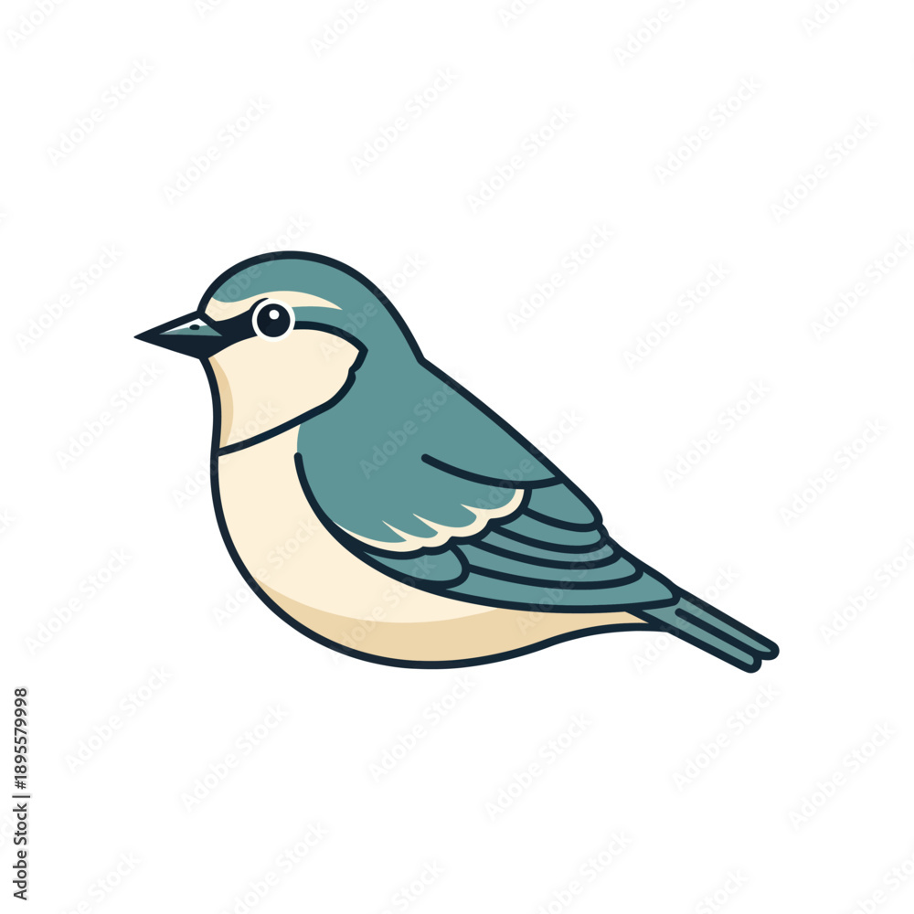 Obraz premium Cute cartoon nuthatch bird illustration, isolated on white background.