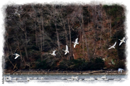 Several white birds are gracefully flying over a river against a backdrop of tall, leafless trees. The landscape has a serene and tranquil feel.