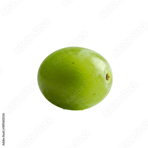 Single Green Gooseberry Iso...