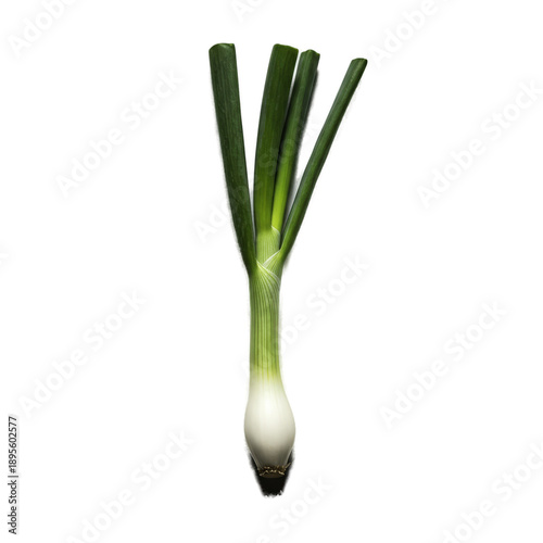 Single Green Onion with Bul...