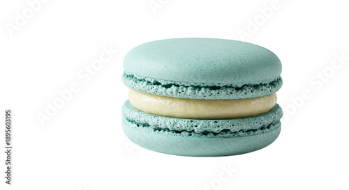 Single Turquoise Macaron Pa...