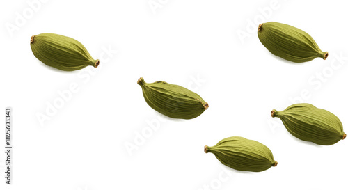 Six Green Seed Pods Floatin...