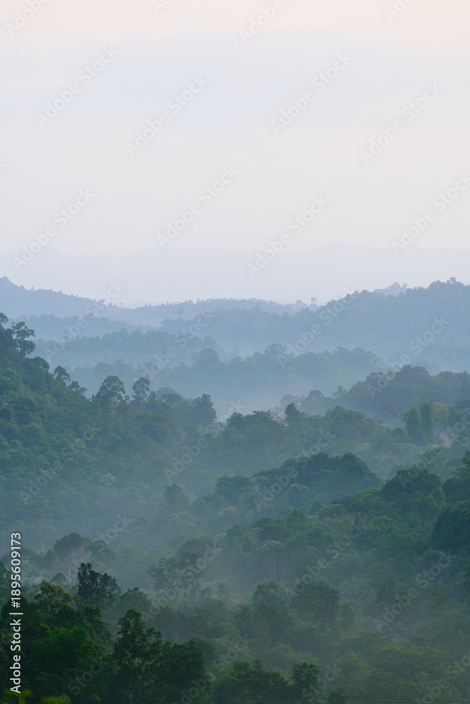 Naklejka premium Foggy and misty view of Panorama Hill located in Sg Lembing Pahang Malaysia