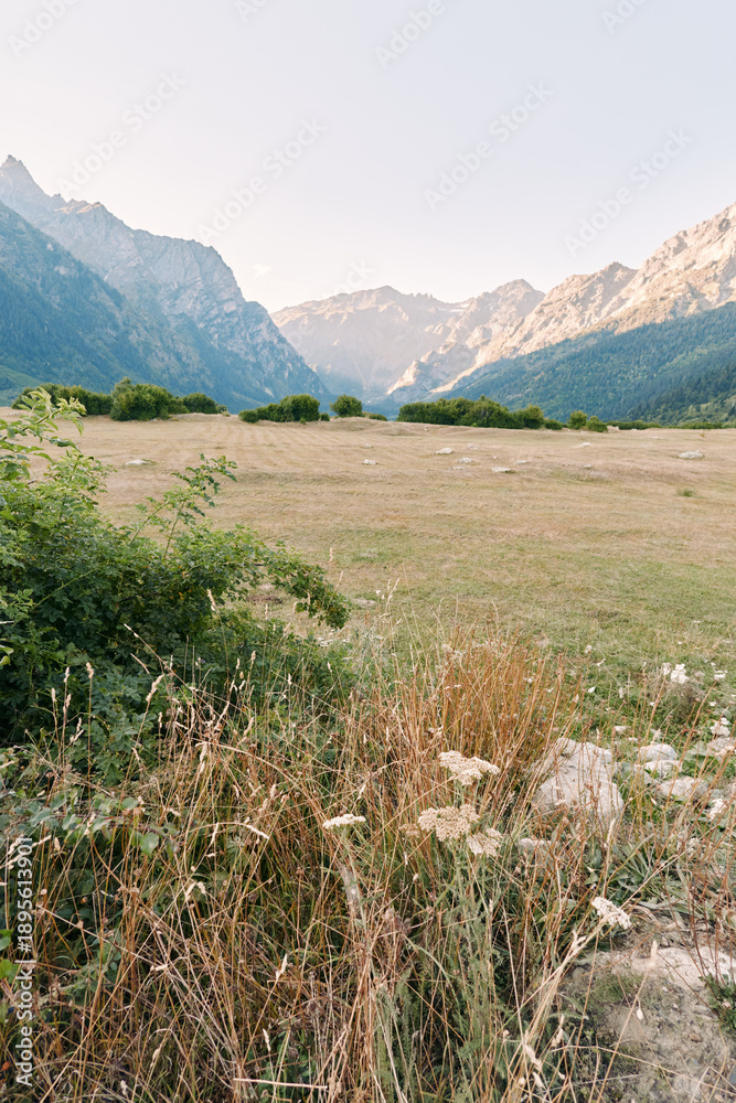 Fototapeta premium mountains meadow valley grass wildflowers landscape nature sky. Wide alpine valley with grassy meadow and wildflowers in foreground, distant rocky peaks and clear pale sky create peaceful outdoor