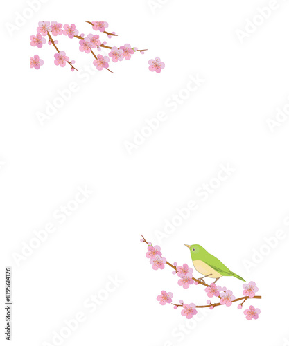春の背景　桜の花と小鳥