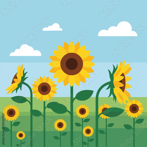 A cartoon image of sunflowers growing under a blue sky