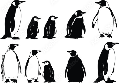 Penguin silhouettes set with adult and baby poses, cute arctic birds collection, black and white wildlife illustration isolated on white background