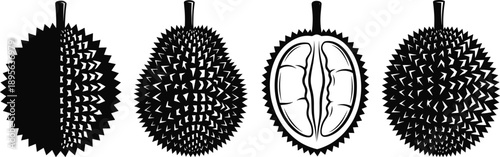 Durian fruit vector silhouette set with whole and sliced views, tropical exotic food illustration design for packaging, market branding, agriculture, botanical artwork, Southeast Asia