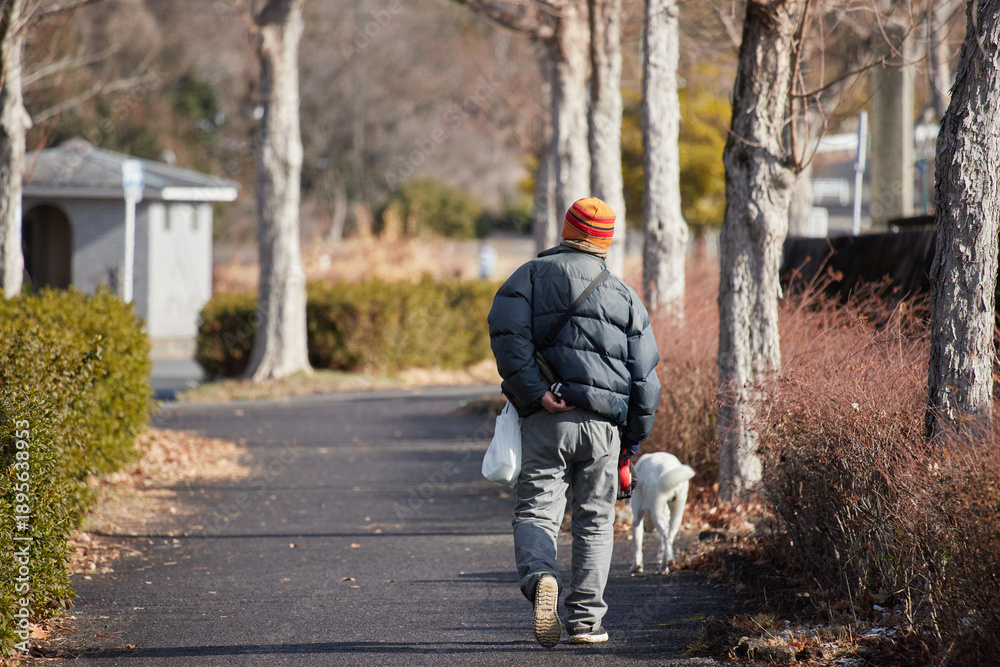 Fototapeta premium 冬の朝の公園で犬を連れて散歩するシニア男性の姿