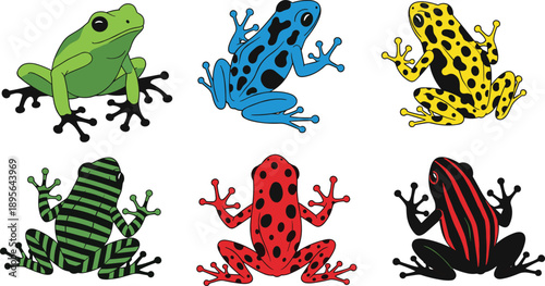 Colorful poison dart frog illustration set featuring vibrant amphibian species, exotic wildlife patterns, tropical rainforest animals collection for nature and education use