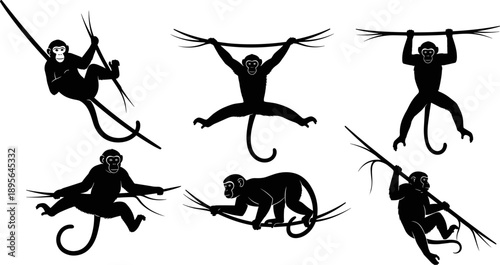 Monkey silhouette vector set showing swinging primates on tree branches, playful jungle wildlife poses, black cartoon animal illustrations isolated on white backgroundMonkey silhouette vector set 