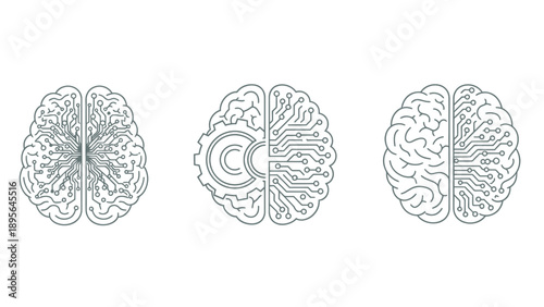 Three schematic brain illustrations showing different views and styles.
