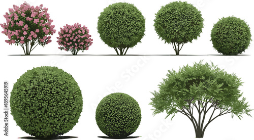 Collection of realistic green garden bushes, shrubs, and flowering hedges isolated on white background vector landscape design elements for landscaping