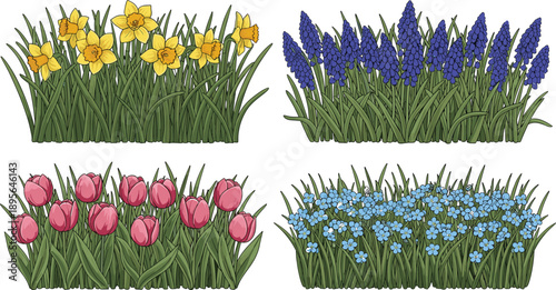 Spring garden flower bed borders with tulips daffodils hyacinths and forget me nots isolated vector landscaping elements collection