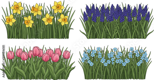 Spring flower bed borders with tulips daffodils hyacinths and forget me nots isolated vector garden landscaping elements set