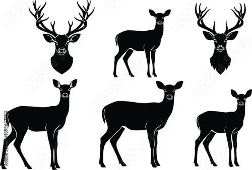 Deer silhouette set with stag heads female deer standing poses wildlife illustration collection of antlered buck and doe vector designs